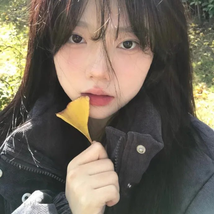 辣手寻芳